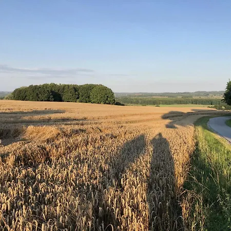 Bungalows Am Waldessaum Bei Hohenzieritz * Hohenzieritz