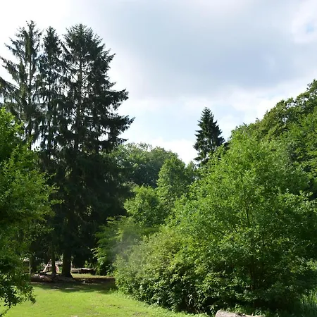 Bungalows Am Waldessaum Bei Hohenzieritz Hohenzieritz